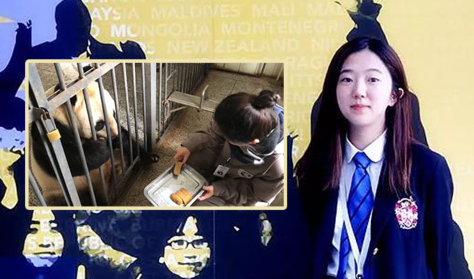 Veterinary Sylvia Huang