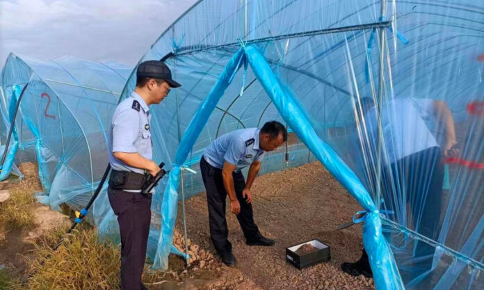 The Nanjinger - Bomb Disposal Team Called in after Hand Grenade Found in Taizhou