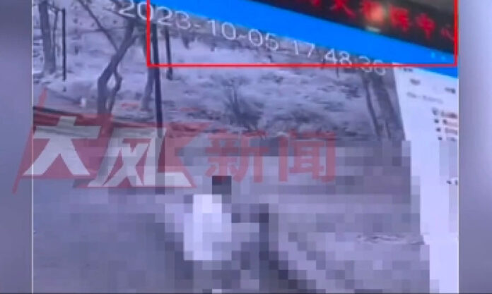 The Nanjinger - Big Screen in Suzhou Shows Images of Man & Woman Having Sex Outdoors