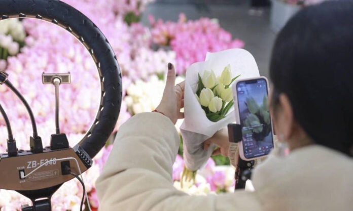The Nanjinger - Flower Economy Ignited in Zhenjiang as 200,000 Tulips Bloom