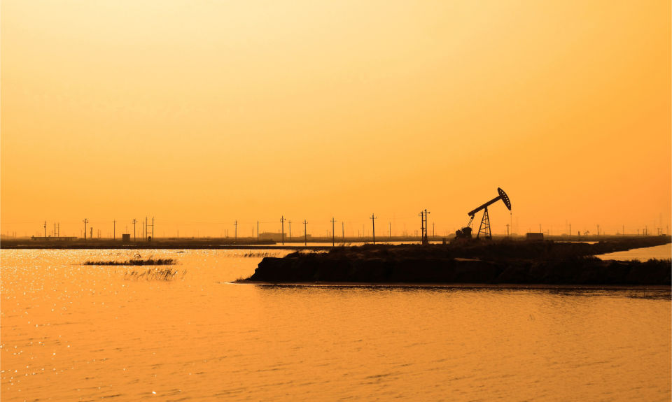 The Nanjinger - Dongying; Fresh Ground, Old Oil and the Delta Still Rising