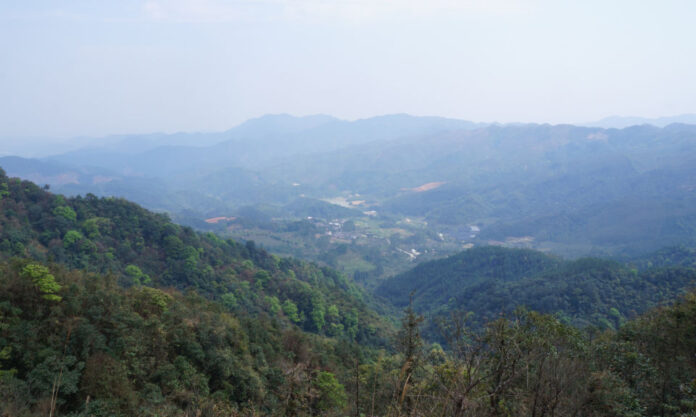 The Nanjinger - Yunfu; the Ancestral Homeland Where Descendants Are Now the Minority
