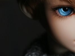 contacts