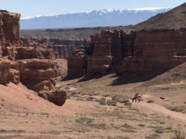 Enchanting Kazakhstan; Steroids on the Steppe