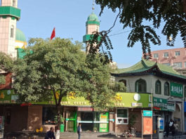 The Nanjinger - Yinchuan Pearl of the Silk Road