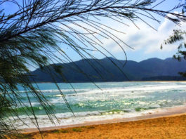 The Nanjinger - “Look & Drink” Tops May Day Deals Sanya Bookings at 2019 Levels