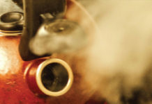 The Nanjinger - The Bubbleology of Tea Keep your Eye Out for Crabs