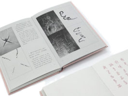 The Nanjinger - Catching the Poetry Bug