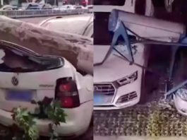 The Nanjinger - 11 Dead, Hundreds Injured & Thousands Evacuated in Holiday Winds