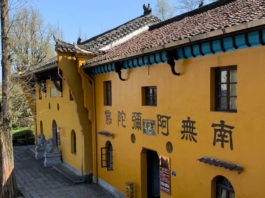 The Nanjinger - Jiuhua Shan & Chizhou; Female Buddahs & Negative Oxygen Ions