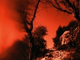The Nanjinger - All Hope Abandon Ye Who Enter Here; Talk Like a True Nanjinger