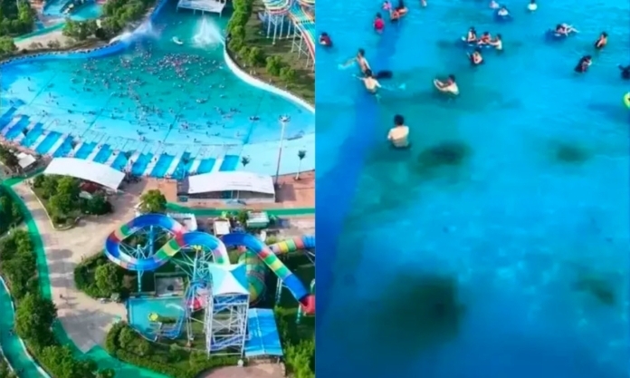 The Nanjinger - Summer Water Park Scandal; Algae and Frogs Proliferation