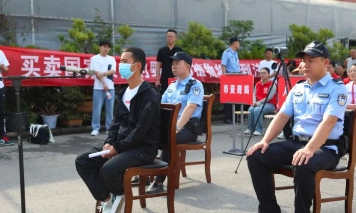 The Nanjinger - Suqian Man Sells 220,000 Orchids; Jailed for Endangering Protected Plants