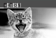 The Nanjinger - The Muller Test; Your Cat is Now a Threat to National Security