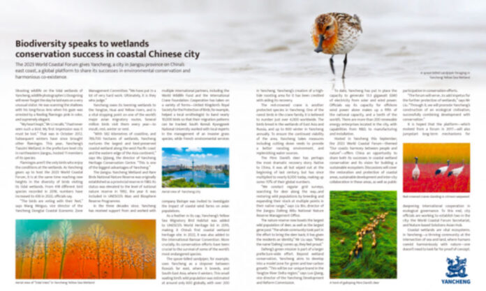 The Nanjinger - UK’s The Economist Profiles Yancheng’s Wetlands & Biodiversity Achievements