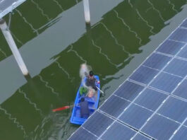 The Nanjinger - Bumper Harvest for “Solar Fishermen” in Xuzhou