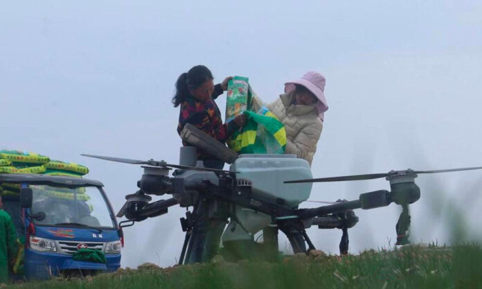 The Nanjinger - Drones in Full Force in Zhenjiang as Farmers Prepare for Bumper Harvest