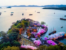 The Nanjinger - Environment is Top Priority for 1st Meeting of New Year in Wuxi