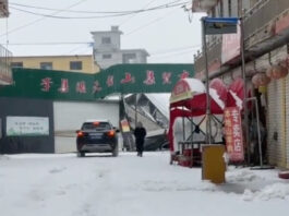 The Nanjinger - Heavy Snow in Xuzhou Crushes Farmers’ Market