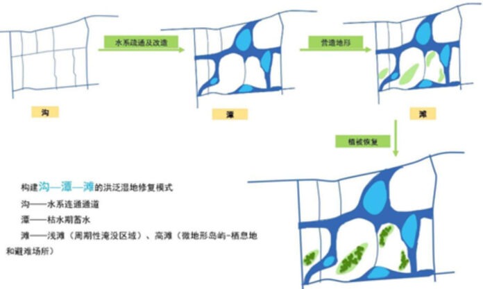 The Nanjinger - Nanjing Selected for Jiangsu's 1st Top Ten Wetland Ecological Restoration Case