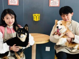 The Nanjinger - Xuzhou Couple Open 2 Cafes; One for Stray Cats, One for Stray Dogs