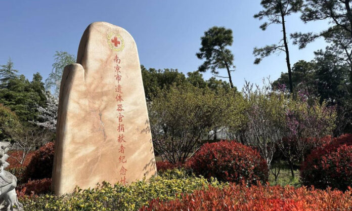 The Nanjinger - Youth Catch on as Nanjing Decrees 31 March to be Organ Donor Memorial Day