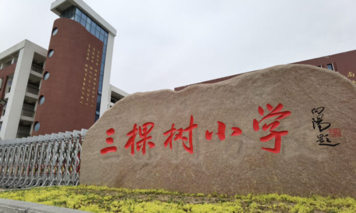 The Nanjinger - 10 Year Old Girl Bullied, Strangled & Slapped in Suqian; Clinically Depressed