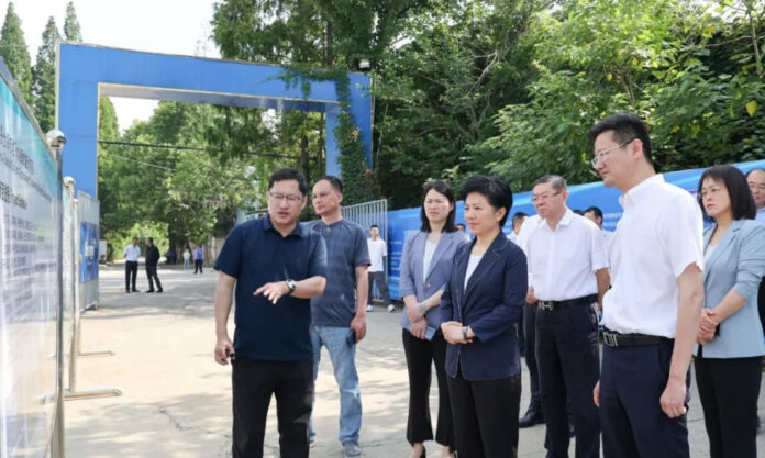 The Nanjinger - Taizhou Mayor Uses Environment Day as Basis for Pollution Investigations