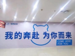 The Nanjinger - 1st Fresh Hippo Store in Northern Jiangsu to Open in Xuzhou