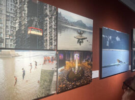 The Nanjinger - 170 of 280,000 Photos Submitted to National Photography Contest Exhibited in Taizhou