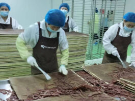 The Nanjinger - Is Xuzhou to Make its Mark in the Pet Industry? Indicators Emerge