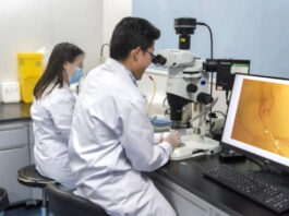 The Nanjinger - Taizhou Now Home to China’s 2nd Waterfowl Resource Gene Bank