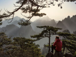 The Nanjinger - New High Speed Line Opens Linking Nanjing with Yellow Mountain in 2 Hours