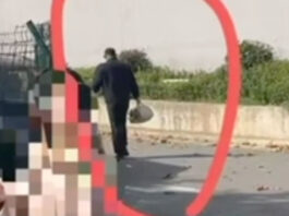 The Nanjinger - Security Guards in Nanjing Accused of Stealing Students' Takeaway for 1:2 a Term