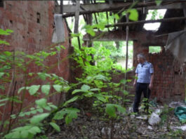The Nanjinger - Changzhou Police Crack Case of Mother & Daughter Murder from 31 Years ago