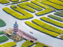 The Nanjinger - City in Taizhou Approved as National Historical & Cultural City
