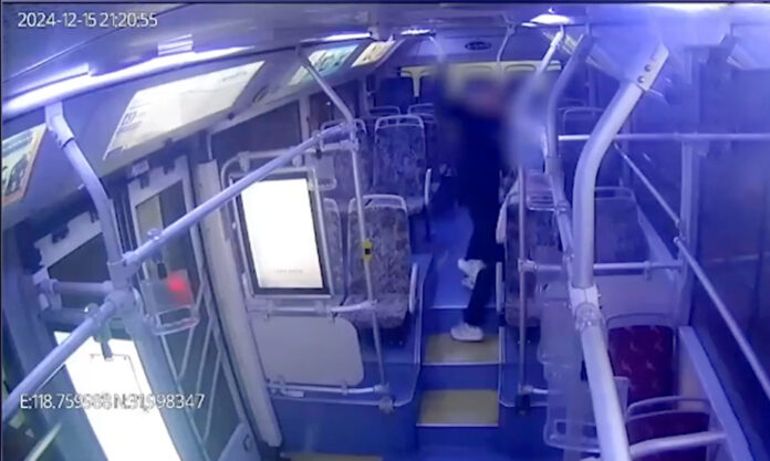 The Nanjinger - Man Attacks and Beats Female Passenger on Nanjing Public Bus