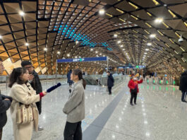 The Nanjinger - Nanjing Metro Line 7; Complete; Open & Very Very Deep1