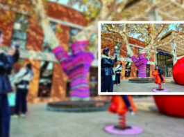 The Nanjinger - Winter Sweater for Legendary Tree in Nanjing becomes Internet Celebrity
