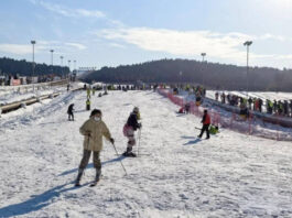 The Nanjinger - Ice and Snow Economy Surges in Xuzhou with CNY 2025 Spent on Skis!