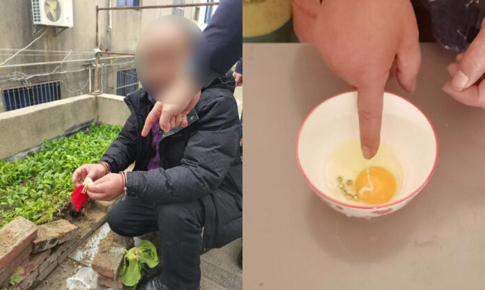 The Nanjinger - Thief in Zhenjiang Hides Jewellery in Raw Egg, Buries it in Vegetable Patch