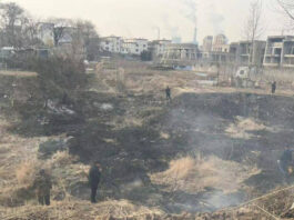The Nanjinger - Villagers Step up to Help Firefighters Extinguish Huge Wildfire in Lianyungang
