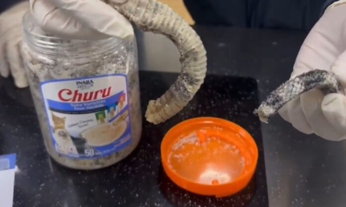 The Nanjinger - 1.2KG of Pickled Rattlesnake Tails Seized by Customs in Nanjing
