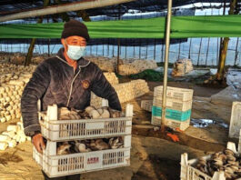 The Nanjinger - 61 Year Old Makes ¥6,000 a Day; Every Villager Buys Car & House