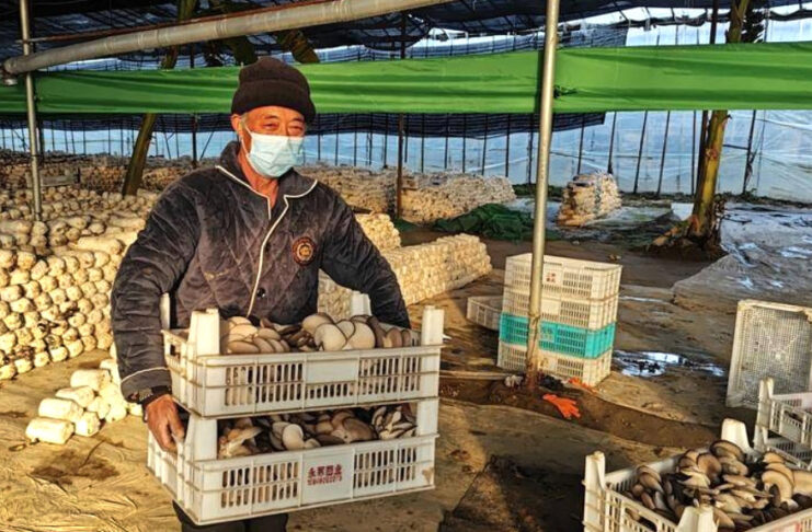 The Nanjinger - 61 Year Old Makes ¥6,000 a Day; Every Villager Buys Car & House