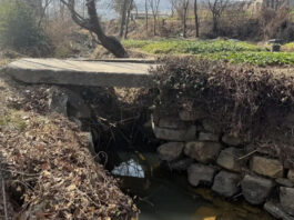 The Nanjinger - Bridge in Zhenjiang Suspected as Tombstone of Qing Dynasty Sichuan Governor