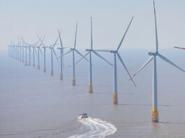 The Nanjinger - Green Electricity Trading in Jiangsu up 43% in 2024