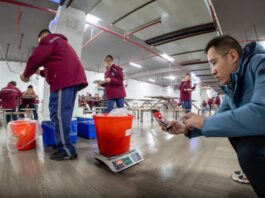 The Nanjinger - Nanjing Middle Schools Students made to Weigh their Leftovers to Cut down on Waste