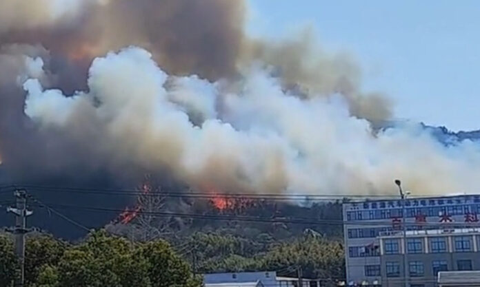 The Nanjinger - Wildfire in Wuxi brings Climate Change Closer to Home