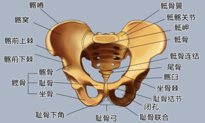 The Nanjinger - Hospital in Zhenjiang Admits Admits 2 Patients with Pelvic Fractures in a Row